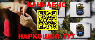 мдпв Аргун