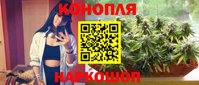 эйфоретик Аргун