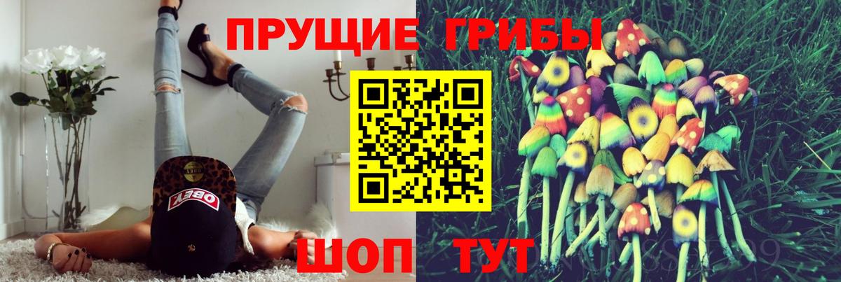 Псилоцибиновые грибы мицелий  Батайск  Псилоцибиновые грибы Psilocybine cubensis 