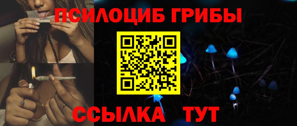 Псилоцибиновые грибы MAGIC MUSHROOMS  Вход с VPN  Псилоцибиновые грибы Cubensis  Батайск 
